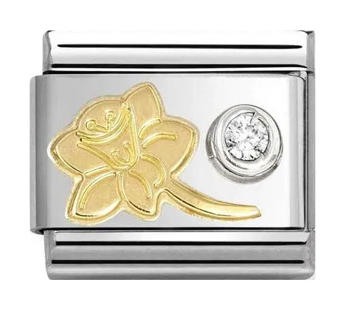 Nomination Element Link...