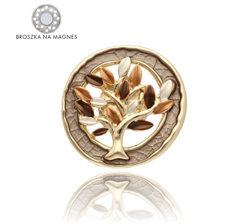 Broszka Yvon Gold Brązowe...